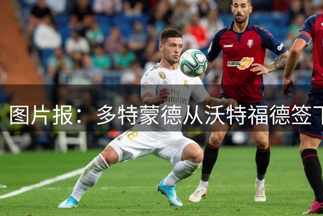 图片报：多特蒙德从沃特福德签下了一位草坪管理专家