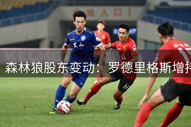 森林狼股东变动：罗德里格斯增持球队股份