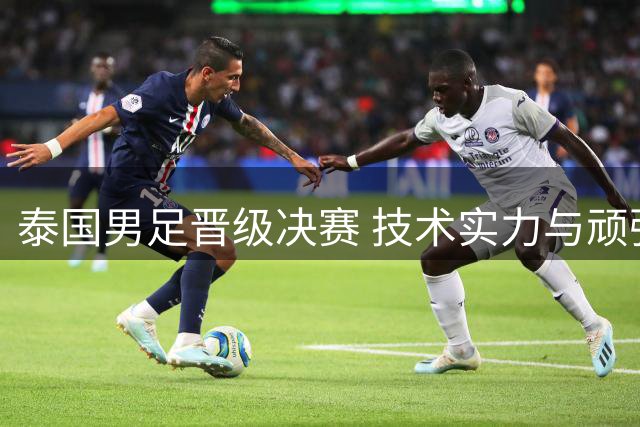 泰国男足晋级决赛 技术实力与顽强意志并举