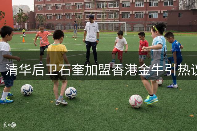 清华后卫石奎加盟香港金牛引热议 NBL球员招募机制现规则漏洞