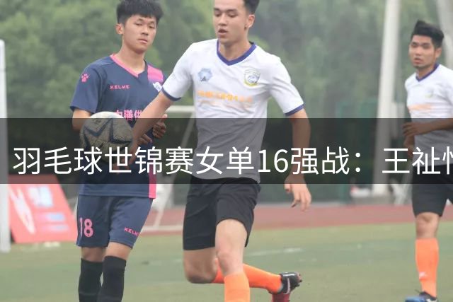 羽毛球世锦赛女单16强战：王祉怡力克印度名将辛杜